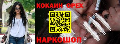СК Камень-на-Оби