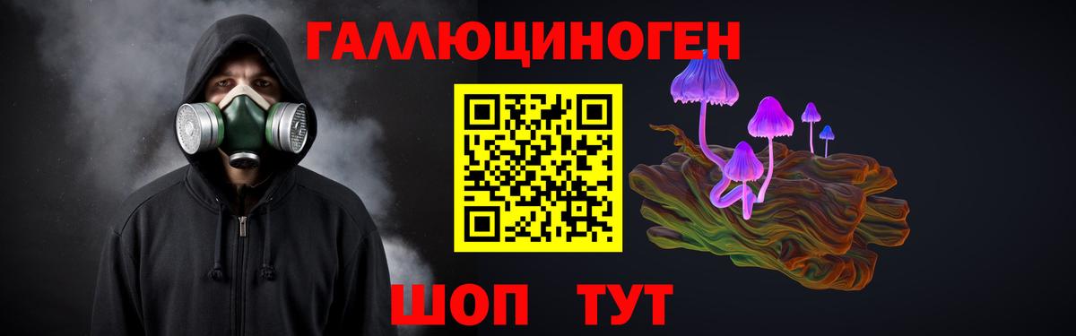 Галлюциногенные грибы Cubensis  Вход с VPN  Новошахтинск 